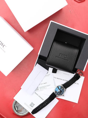 IWC PILOT MARK XX